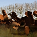 2010-03-conflans-OK (31)
